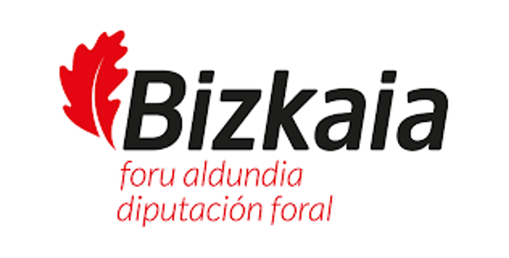 Bizkaia foru aldundia logo